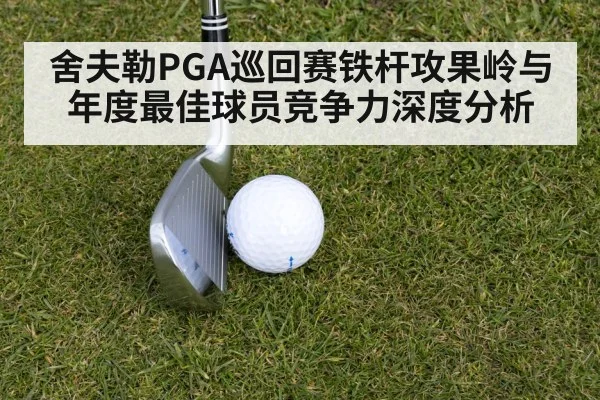 舍夫勒PGA巡回赛铁杆攻果岭与年度最佳球员竞争力深度分析